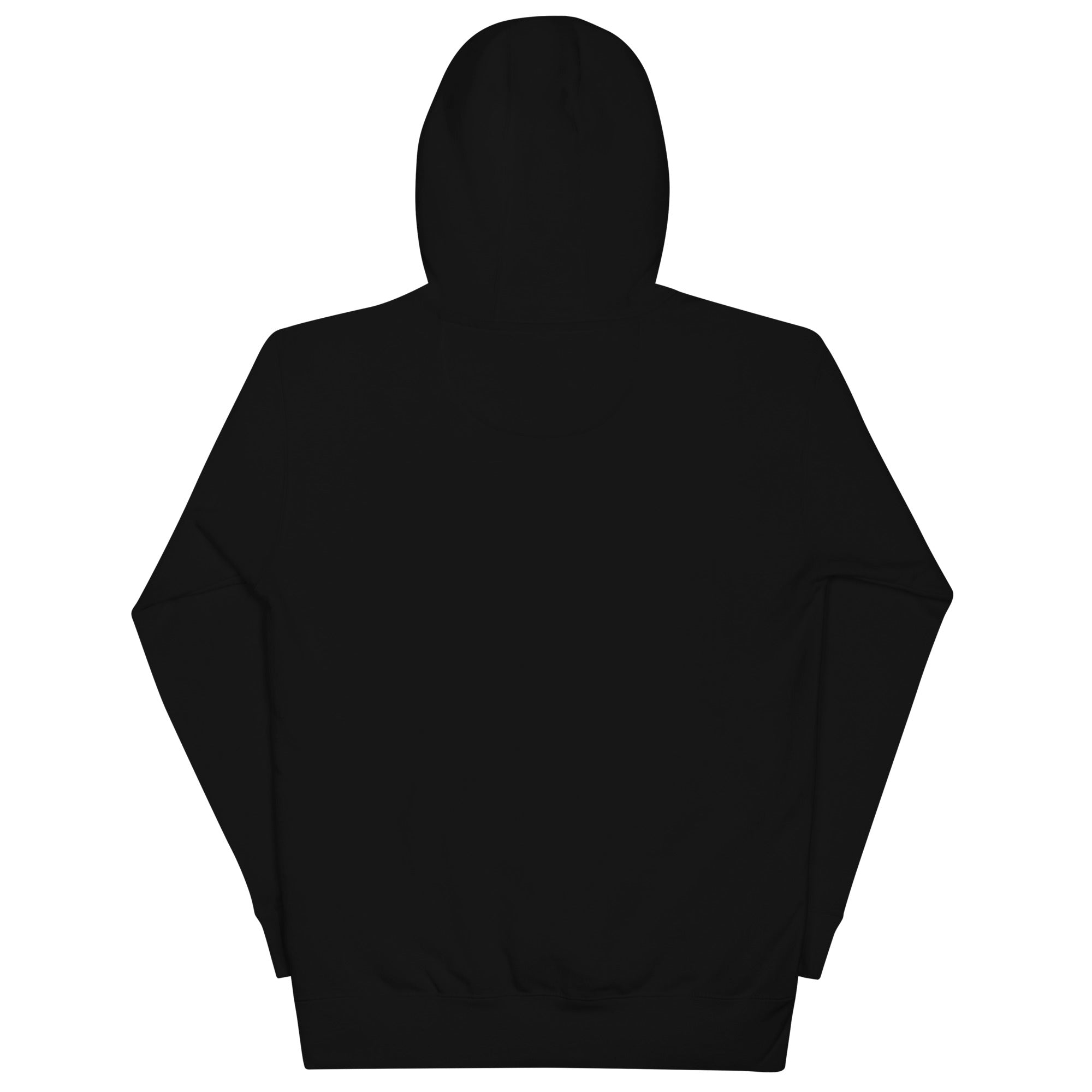 Littledata Hoodie